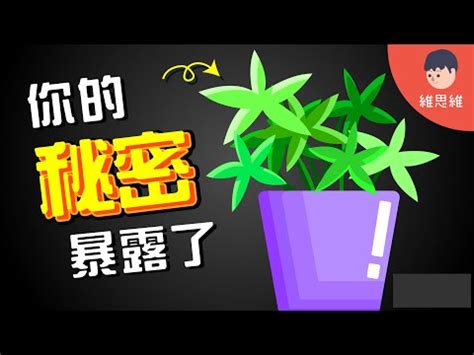 植物與人的關係|【植物與人的關係】與植物的親密關係：擁抱、親吻，揭開植物帶。